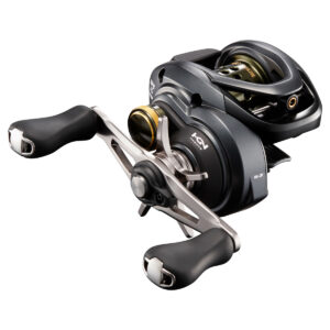 Reel Curado BFS