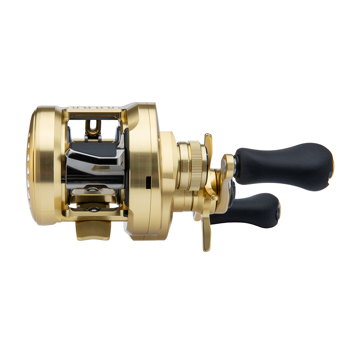 Reel Calcutta Conquest A - Image 3