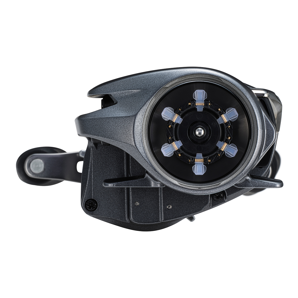 Reel Bantam - Image 3