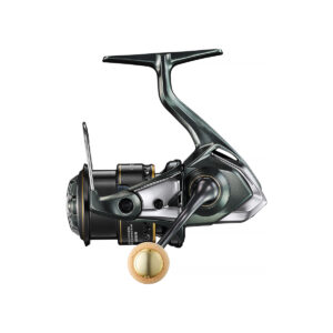Reel Cardiff XR
