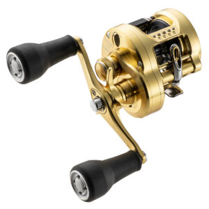 Reel Calcutta Conquest MD